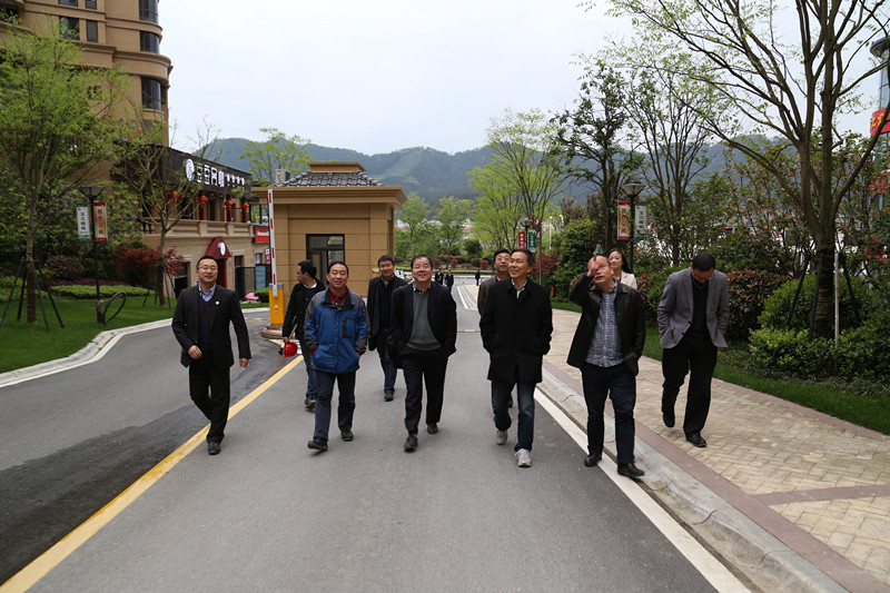 集團公司領導調研瀾庭國際項目建設銷售情況