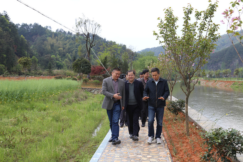 集團公司領導赴龍游羅家鄉走訪了解扶貧共建項目進展情況