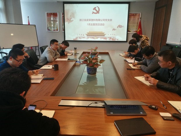 皮塑公司召開學習集團黨代會精神主題黨日活動